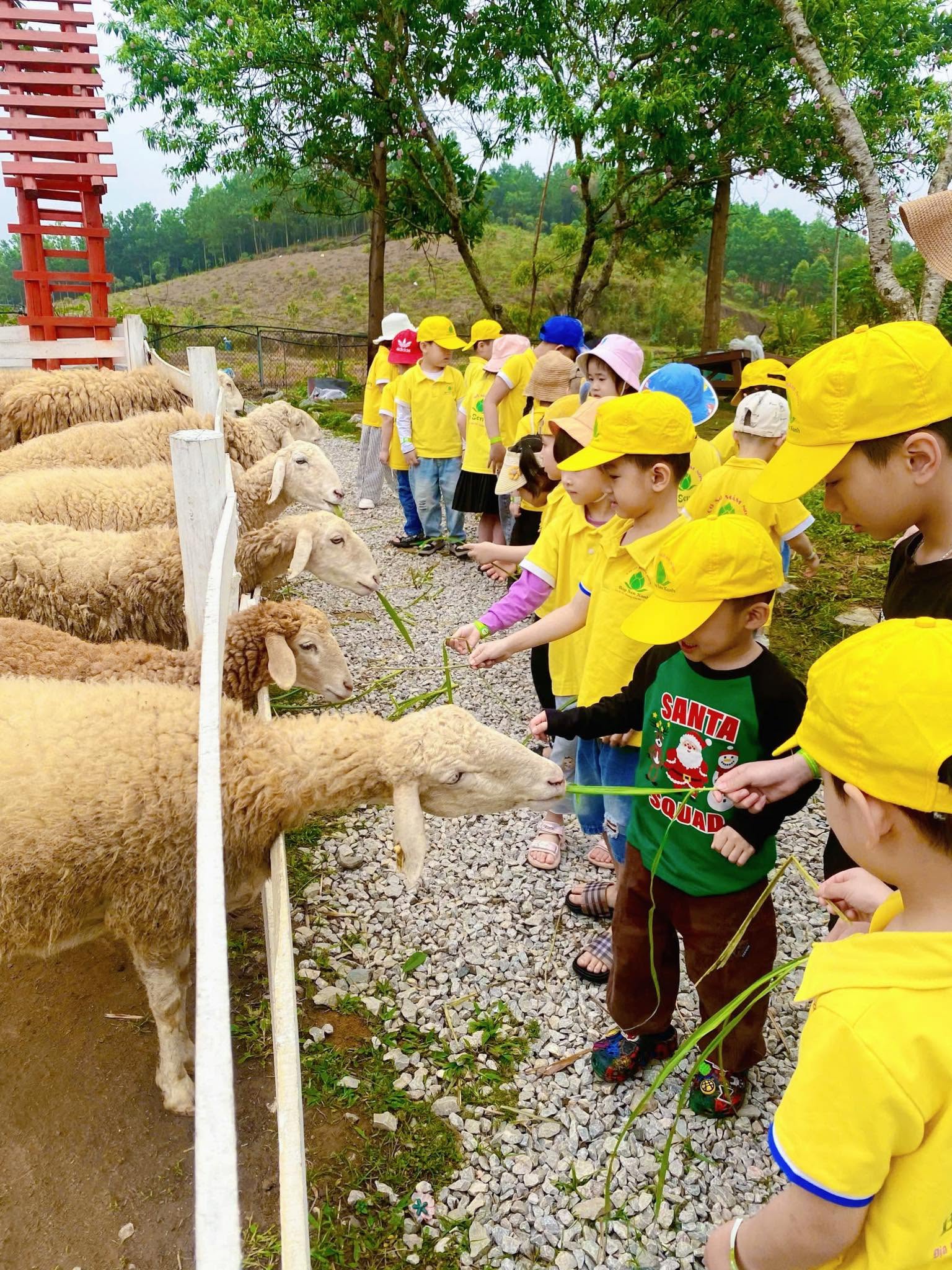 Bắc Ninh: Mở rộng không gian phát triển du lịch học đường